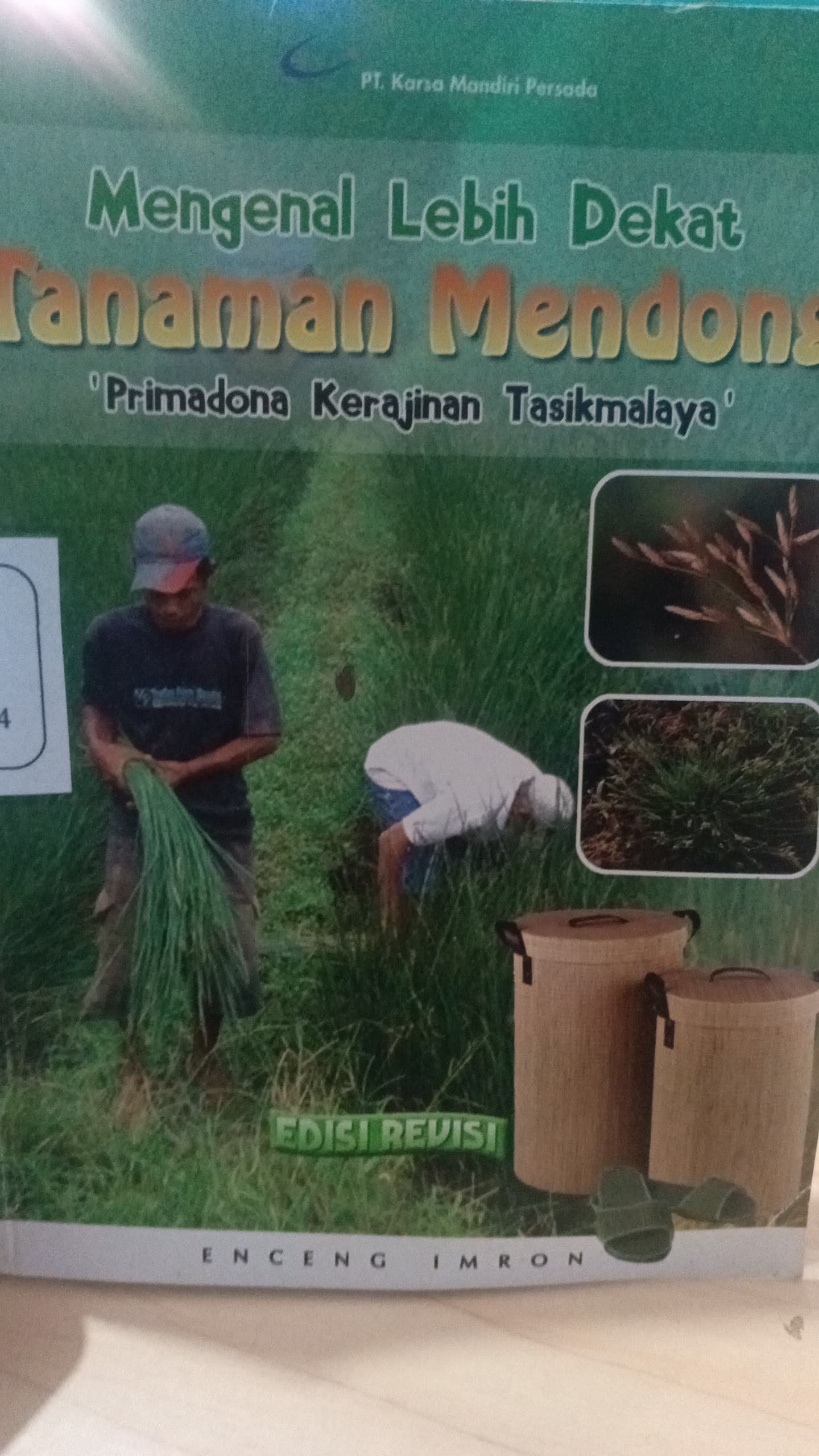 Mengenal Lebih Dekat Tanaman Mendong