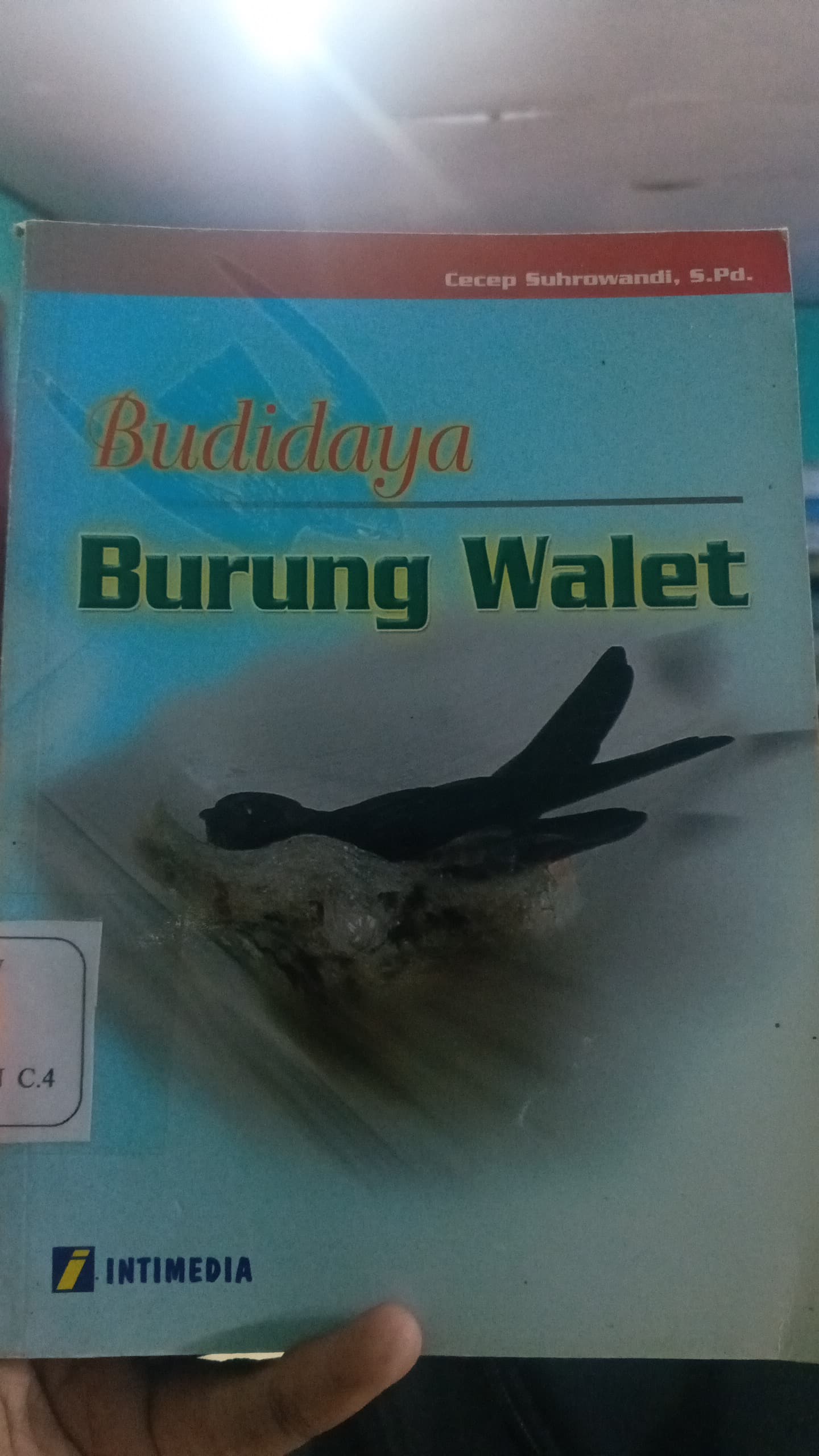Budidaya Burung Walet