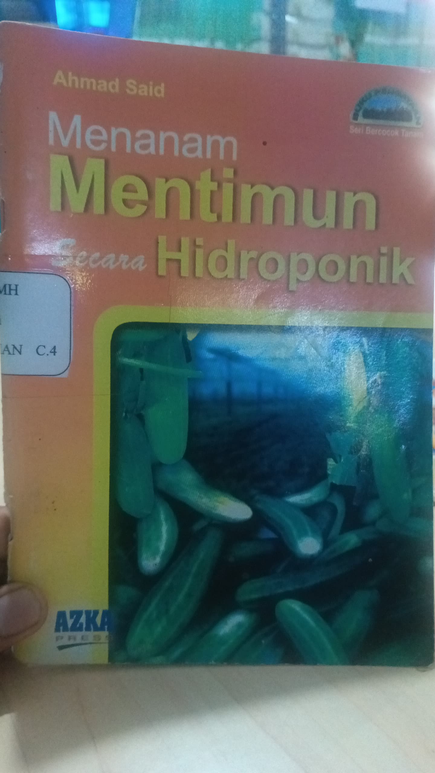 Menanam Mentimun Secara Hidroponik